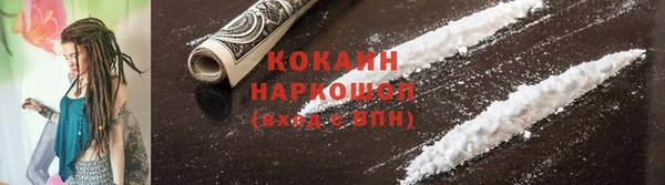 кокс Михайлов