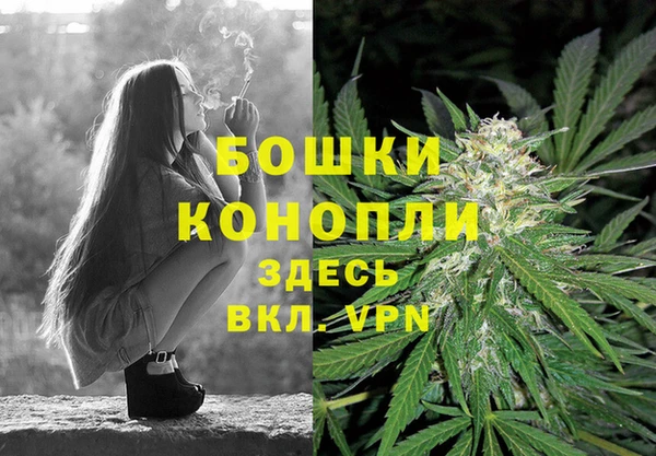 кокс Михайлов