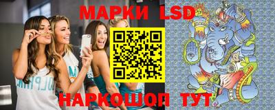 apvp Камышлов