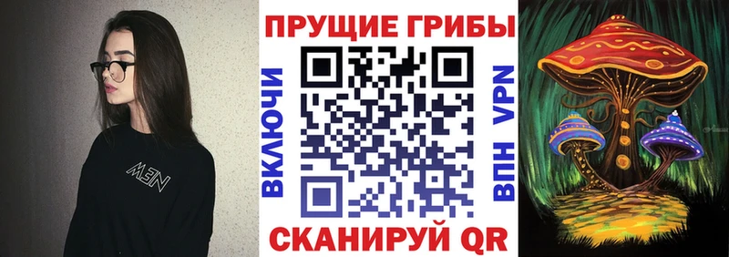 сайты даркнета как зайти  Кумертау  Галлюциногенные грибы Psilocybe  блэк спрут  