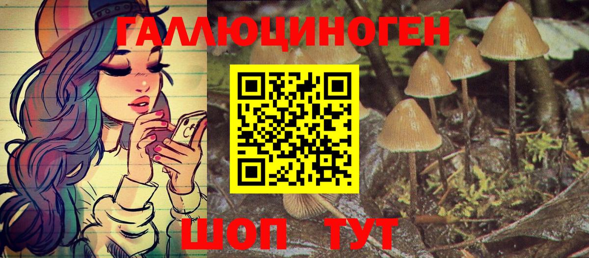 Псилоцибиновые грибы ЛСД Кумертау