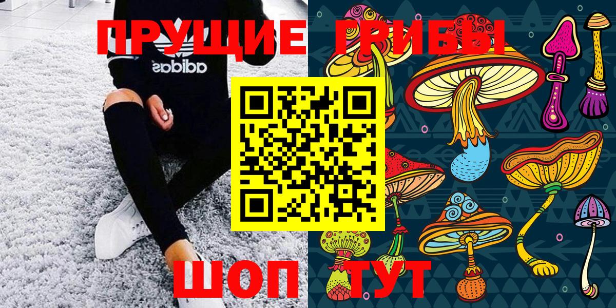 Псилоцибиновые грибы мухоморы  Галлюциногенные грибы Psilocybe  Кумертау 