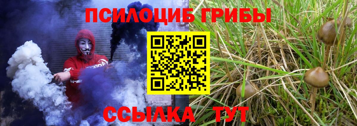 Галлюциногенные грибы Psilocybe  Вход с VPN  Псилоцибиновые грибы MAGIC MUSHROOMS  Кумертау 