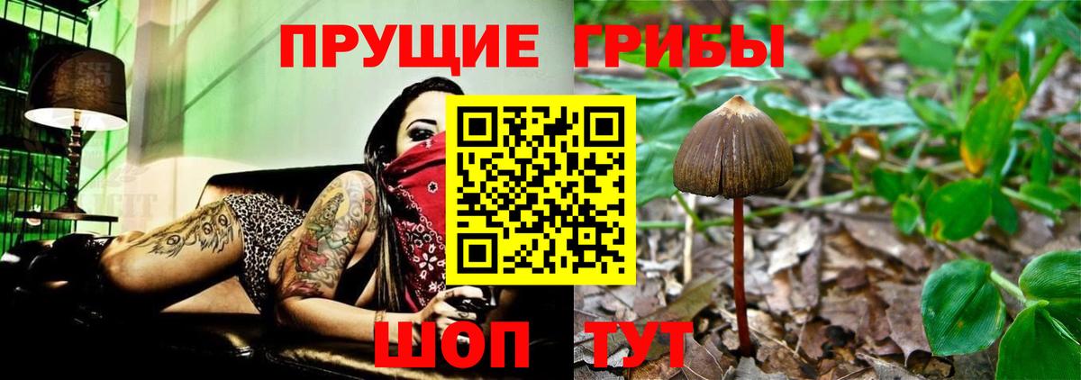 Псилоцибиновые грибы мицелий Кумертау